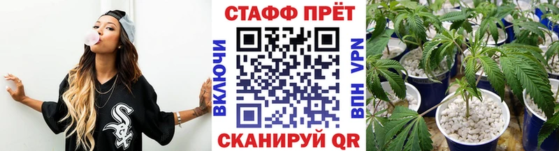 Все наркотики Нахабино ГАШИШ  СОЛЬ  Кодеин  Мефедрон  Марихуана  Кокаин 