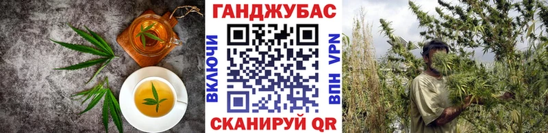 купить наркоту  Нахабино  KRAKEN сайт  Cannafood марихуана 