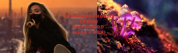 спайс Богородицк