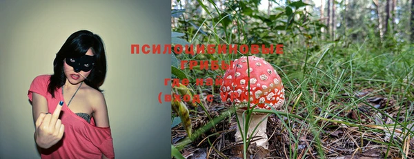 спайс Богородицк
