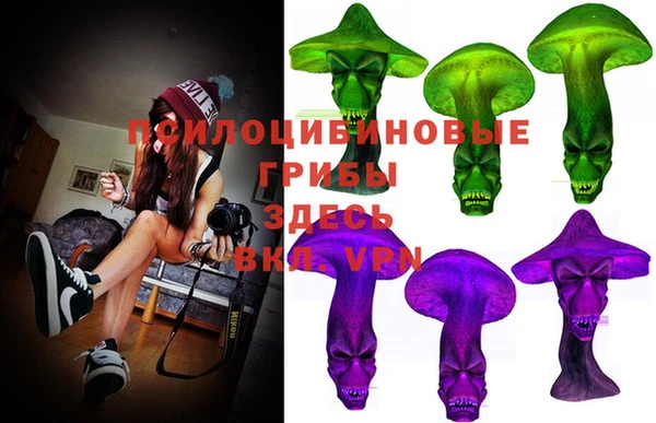 первитин Богданович