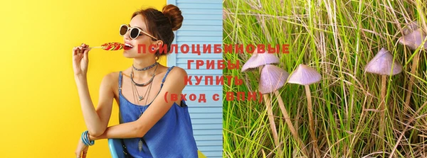 спайс Богородицк