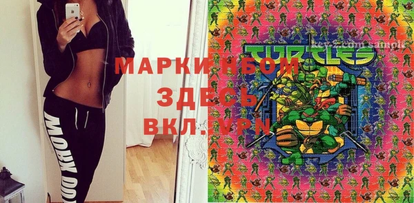 первитин Богданович