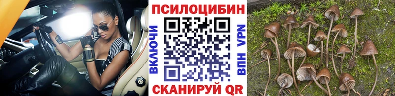 МЕГА вход  Нахабино  Галлюциногенные грибы Psilocybe  наркотики 